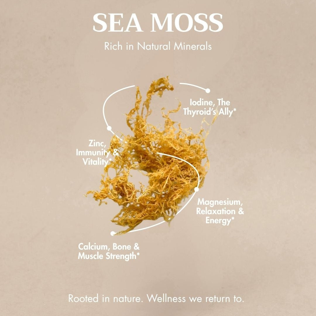 A beige promotional graphic featuring a small cluster of golden-yellow sea moss in the center, with white text reading 'SEA MOSS' and additional callout text about minerals and health benefits on a textured beige background.