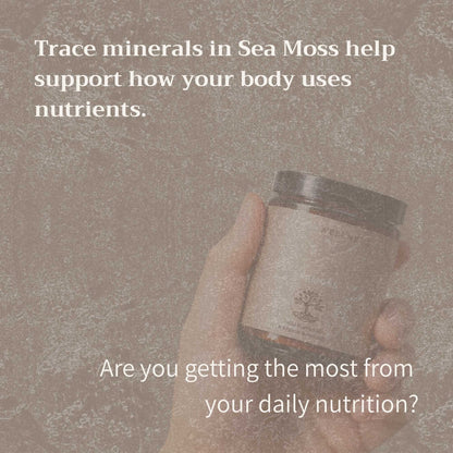 Sea Moss Capsules